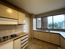 The Cairnhill (D9), Condominium #602006361